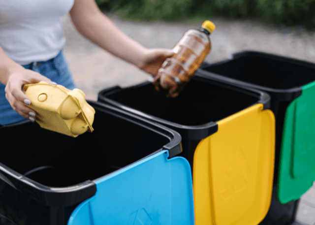 How To Choose The Right Bin Hire Company